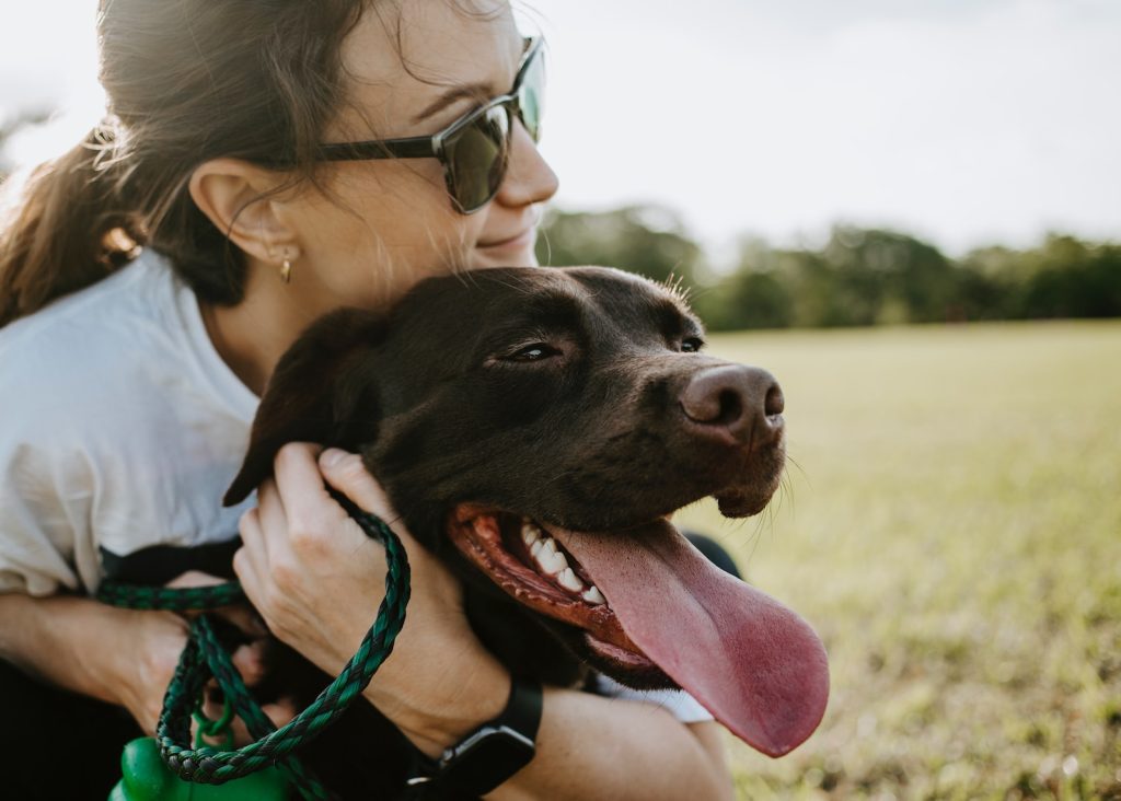 Animal Communication: The Science and Mystery of Talking to Pets